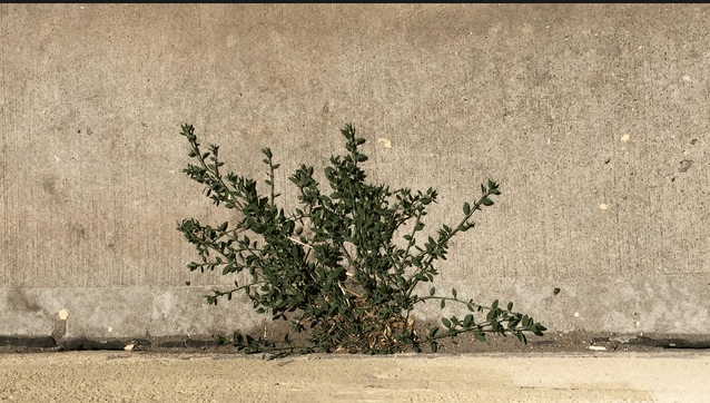 ¿Puedes verme tras esa&nbsp;máscara?