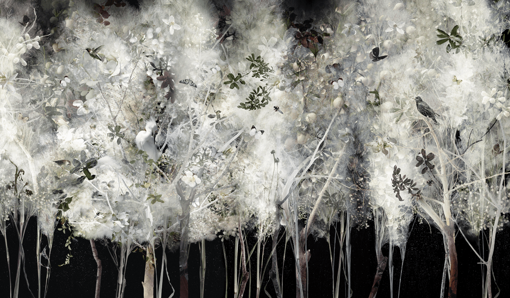 La levedad de una&nbsp;mujer