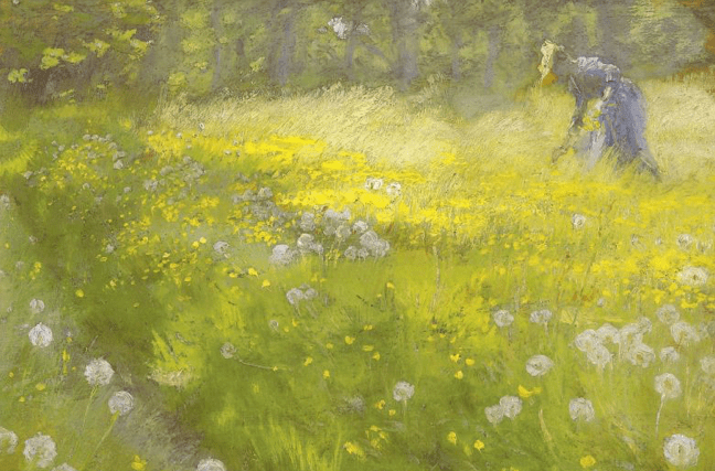 Como llovido del&nbsp;cielo