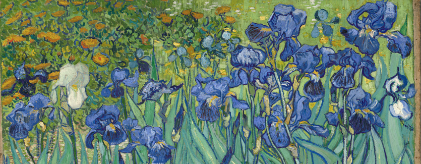 Alguien voló sobre el nido del cuco&nbsp;II