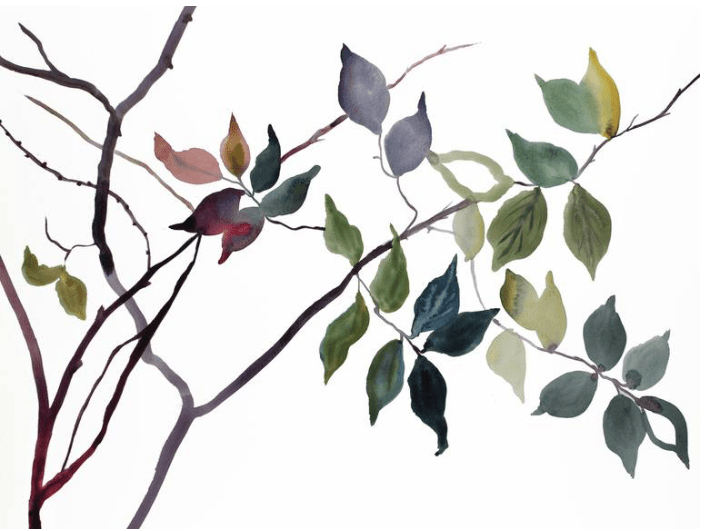 La gente me habla. La&nbsp;pescatera